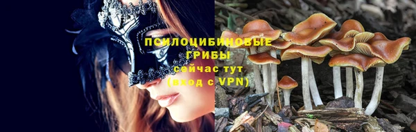 МДПВ Алзамай