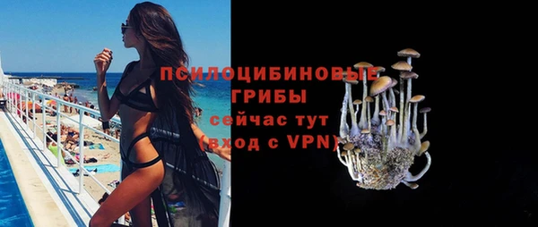 МДПВ Алзамай