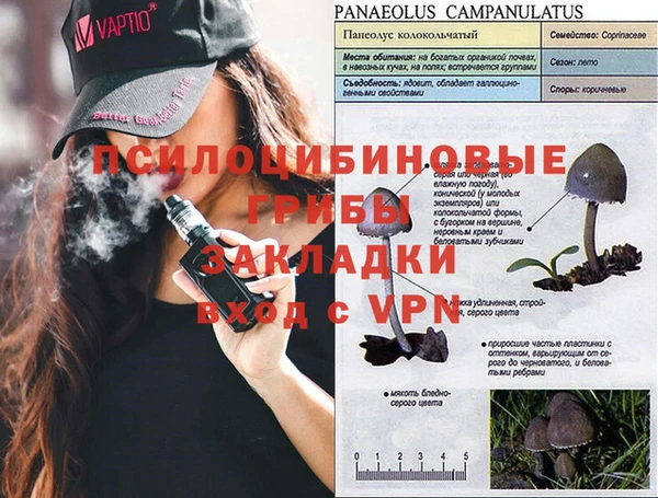 МДПВ Алзамай