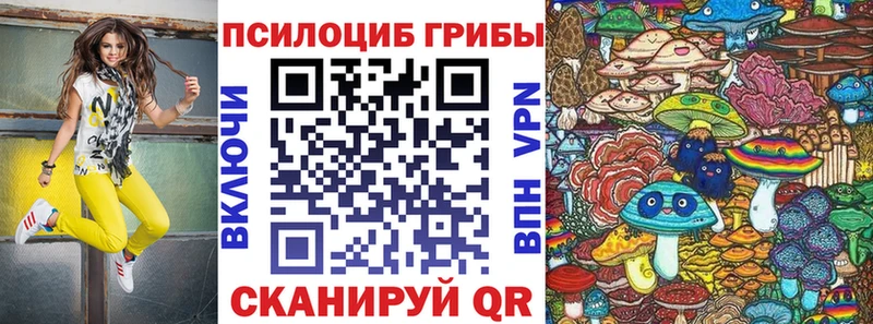Псилоцибиновые грибы мицелий  hydra зеркало  Болгар 